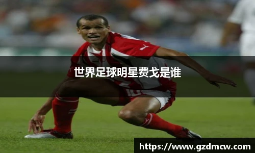 世界足球明星费戈是谁