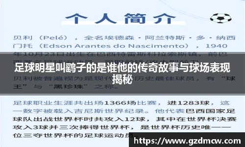 足球明星叫鹞子的是谁他的传奇故事与球场表现揭秘